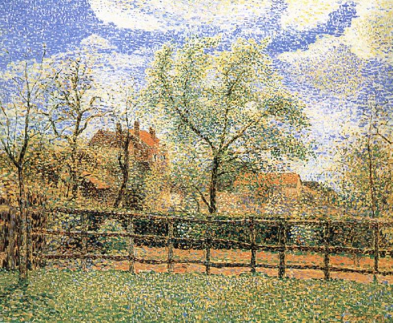 Camille Pissarro Pear trees bloom in the morning china oil painting image